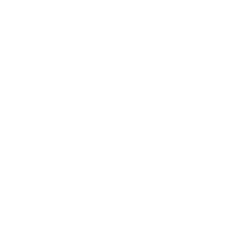 Expert Faculty & Mentorship