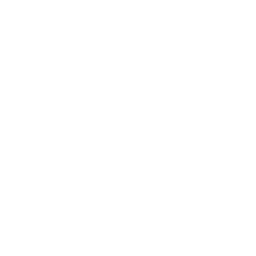 Hands-On Clinical Experience